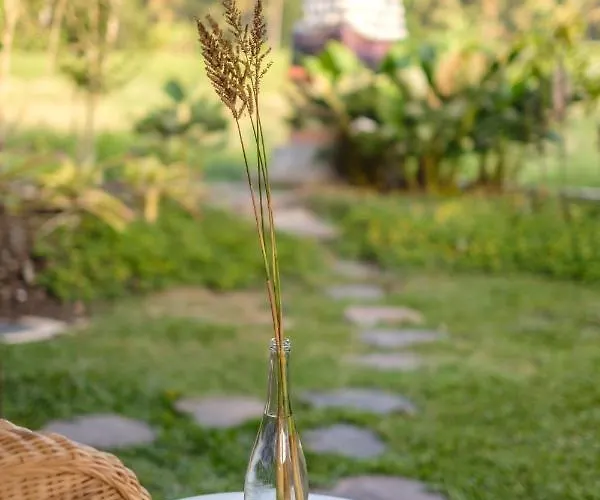 A Home, Like A Dream Ubud