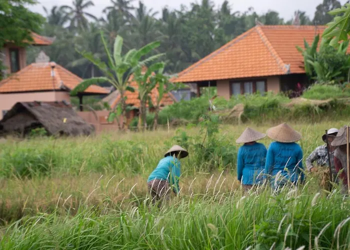 A Home, Like A Dream Ubud