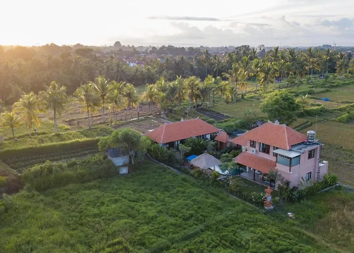A Home, Like A Dream *