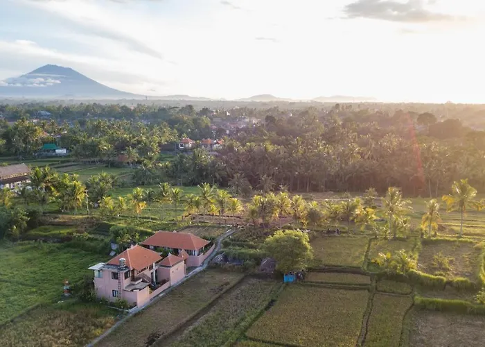 A Home, Like A Dream Villa