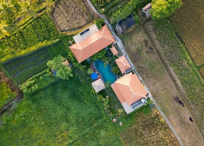 A Home, Like A Dream Villa *