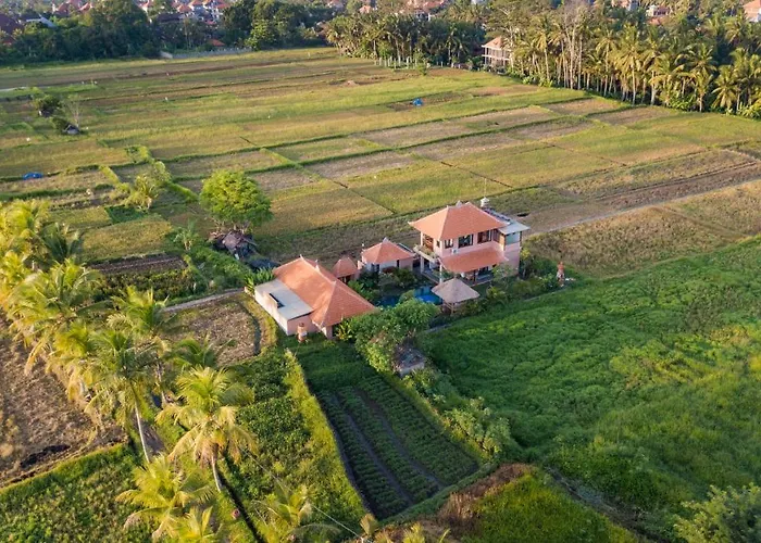 A Home, Like A Dream Ubud